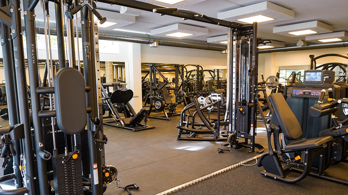 Heilende Bewegung im Zapfig Gym – Zapfig Gym ( Heuberger GmbH)